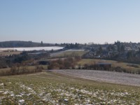 Blick auf Rüdesheim-Presberg