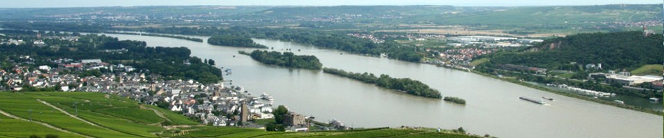 Rüdesheim Blick auf den Rhein